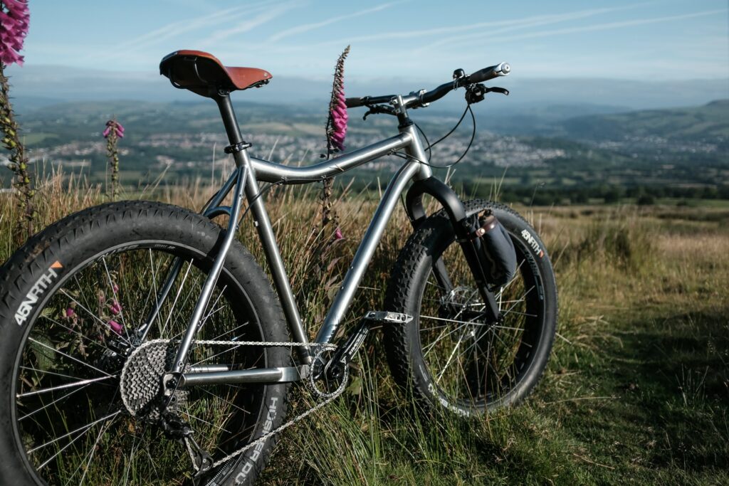 e fatbike von gofatbike.de